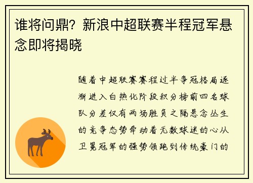 谁将问鼎？新浪中超联赛半程冠军悬念即将揭晓